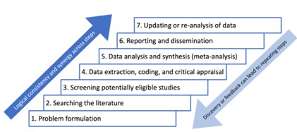 Diagram showing progression through the successive steps of a systematic review process
